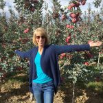 Ambrosia Apples - Apple Orchard Adventure