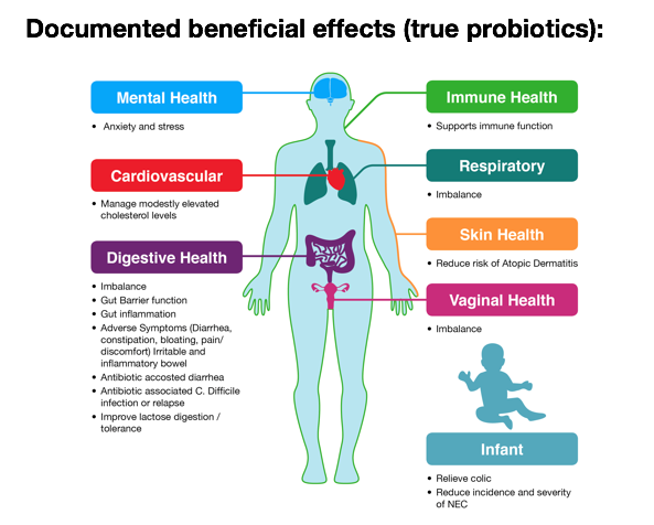 Probiotic Supplements with Jarrow Formulas via LizsHealthyTable.com #podcast