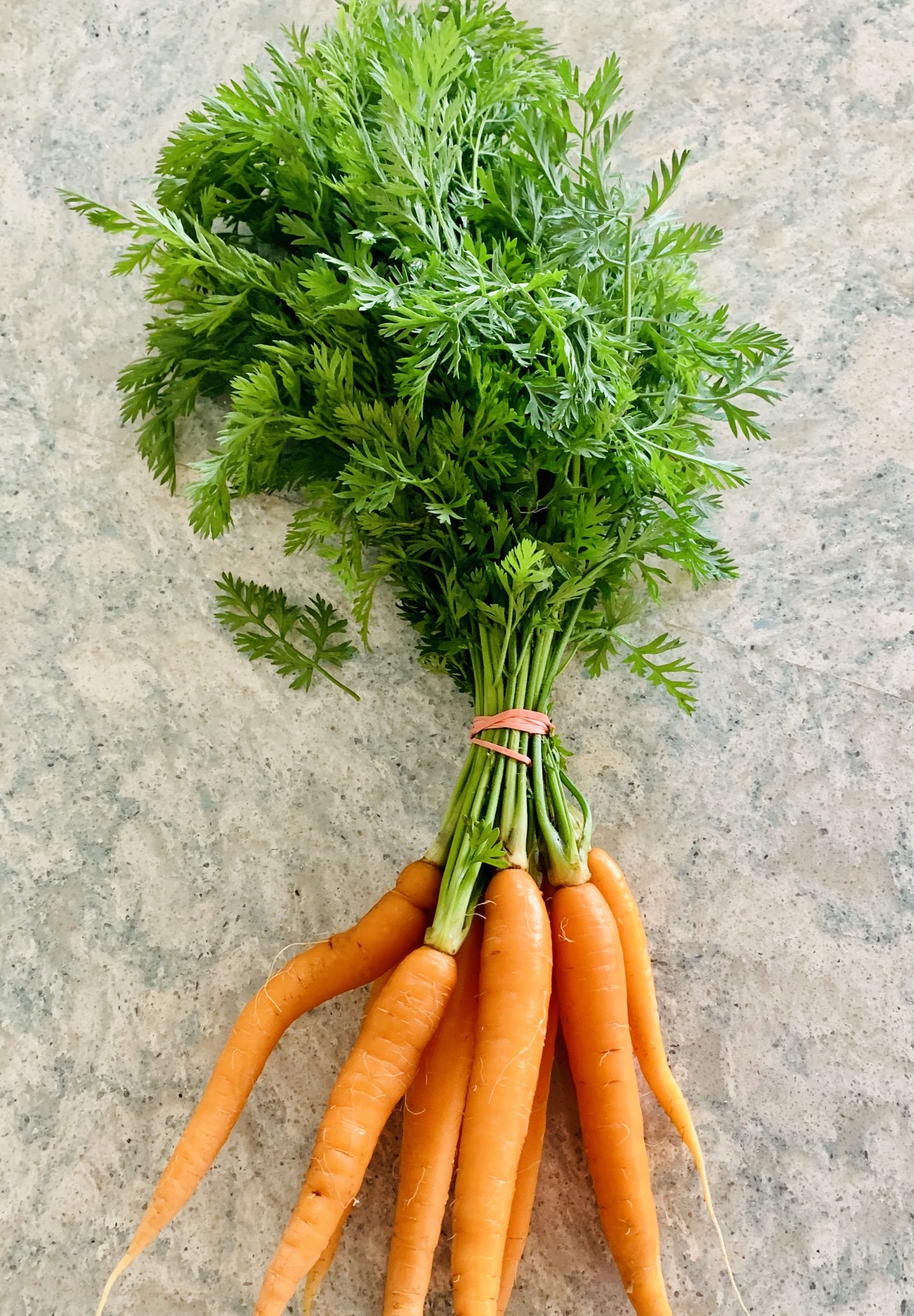 46 Recipes for Carrot and Carrot Greens (AKA Carrot Tops)